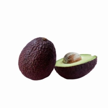 Awokado Hass - szt.