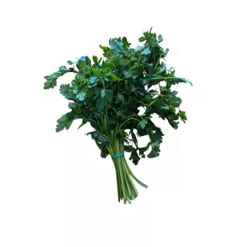 Natka Pietruszki Pęczek